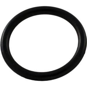 Hayward O-Ring | SX200Z14