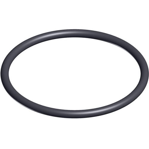 Hayward Valve O-Ring (Set Of 2) | SX200Z4PAK2