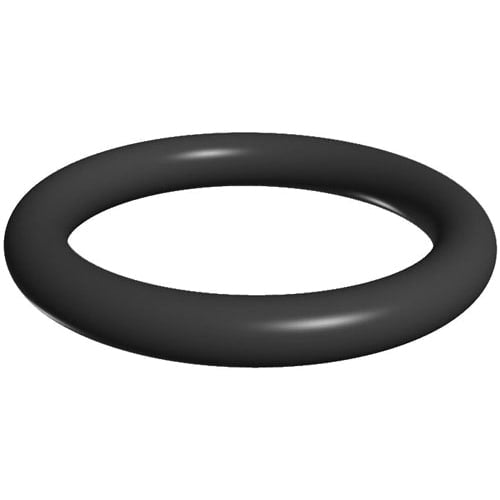 Hayward O- Ring | SX200Z5