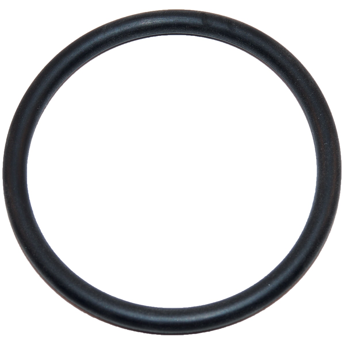 Hayward Large -O- Ring | SX220Z2