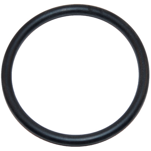 Hayward Large -O- Ring | SX220Z2
