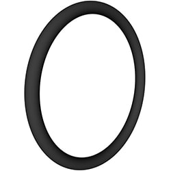 Hayward O-Ring, Bulkhead | SX360Z1