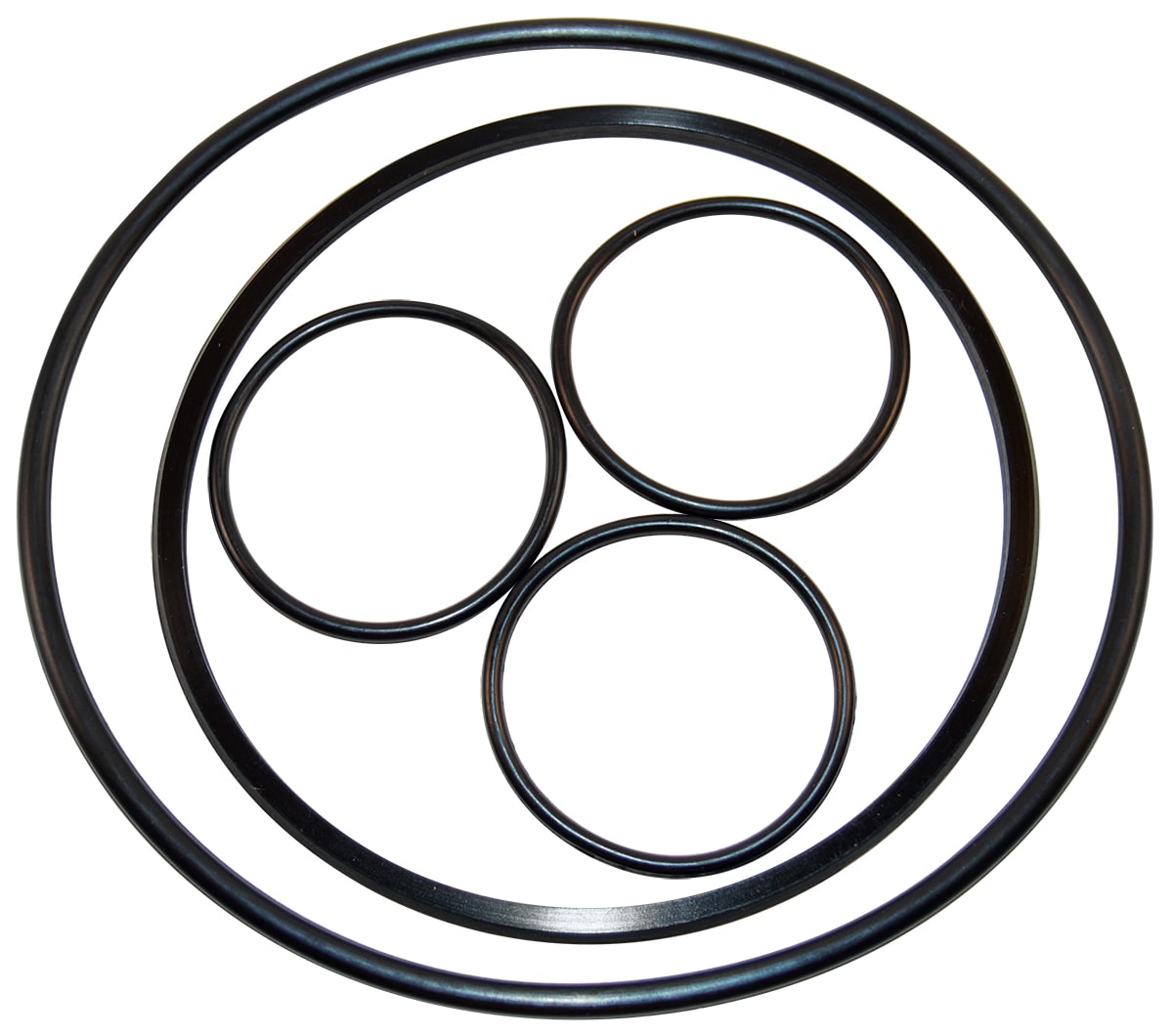 Hayward O-Ring Kit | VLX4004a