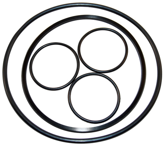 Hayward O-Ring Kit | VLX4004a
