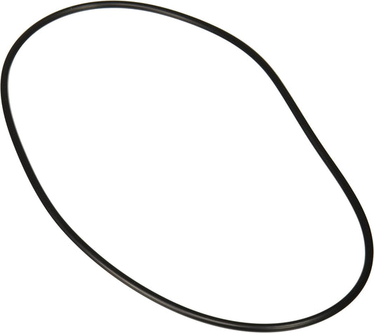 Zodiac R0446300 Backplate O-Ring Replacement for Select Zodiac Jandy Pool and Spa Pumps