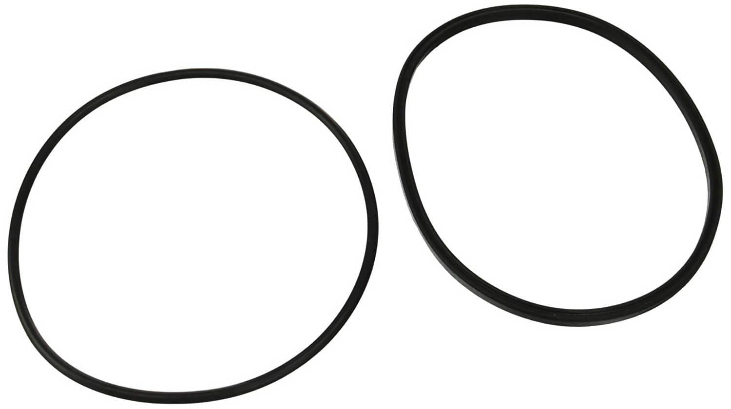 Zodiac R0480200 Lid O-Ring Replacement for Zodiac Jandy FloPro FHPM Series Pump