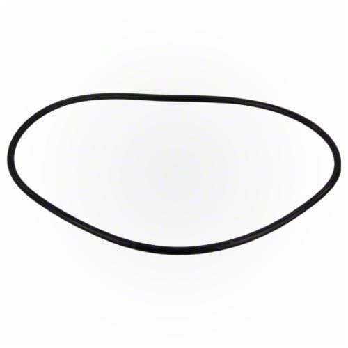 Jandy Pro Series Backplate O-Ring, | R0480300