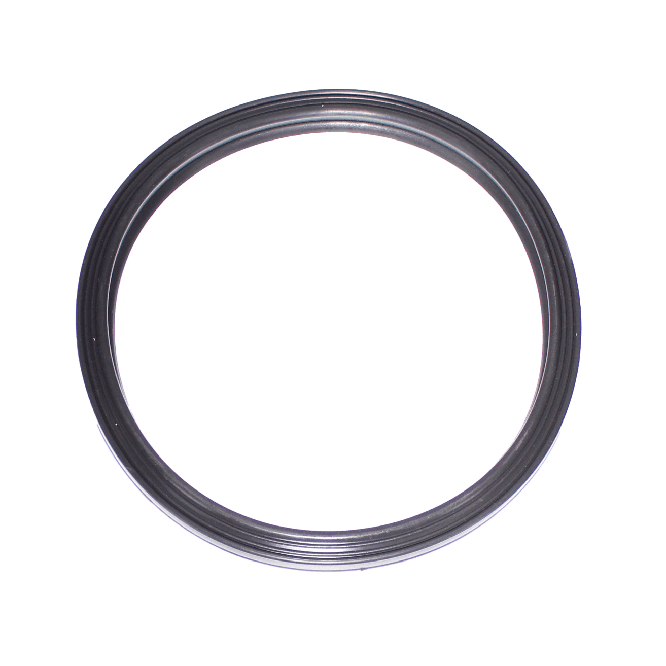 Zodiac Jandy Silicone Gasket, Pool RGBW LED, Replacement Kit