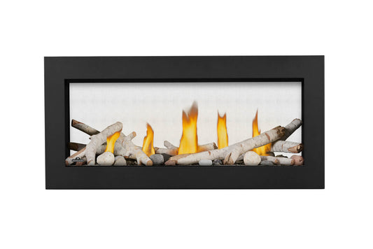 napoleon-lv38n2-1-vector™-38-see-through-direct-vent-natural-gas-fireplace