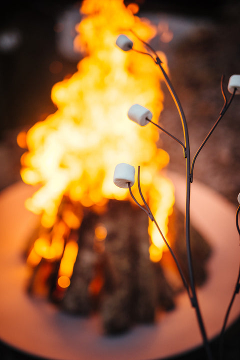 Fire Pit Art Roasting Stick