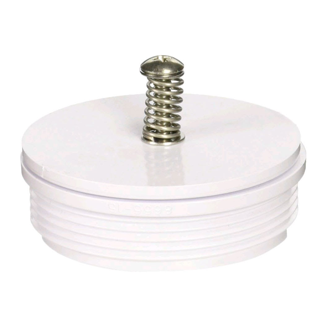 Pentair Check Valve Assembly | 08655-0017