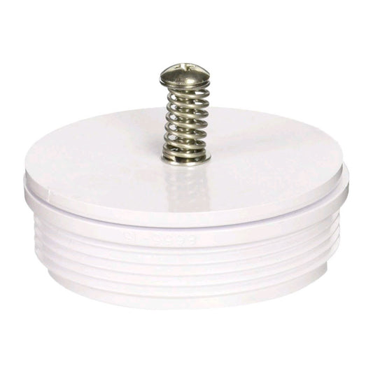 Pentair Check Valve Assembly | 08655-0017