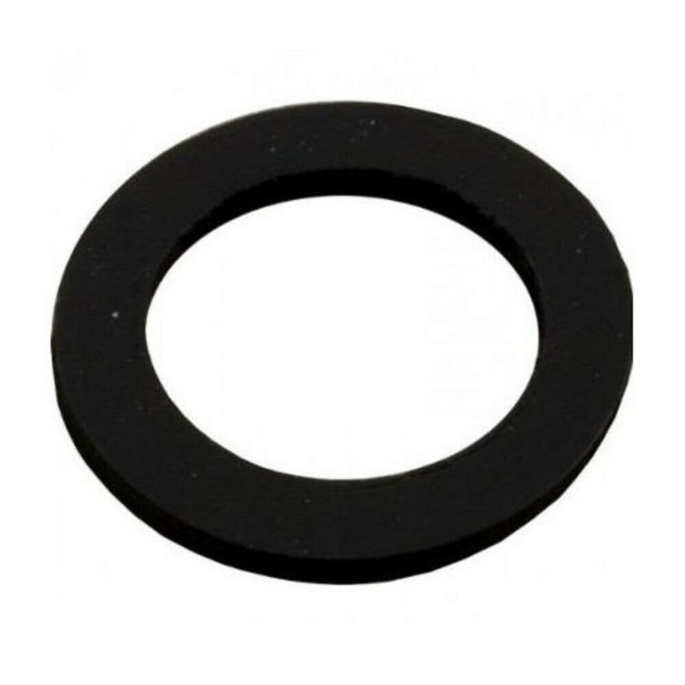 Pentair Gasket Sand Drn Sd15/19/22 | 154713