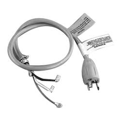 Pentair Crd Assembly 3'Twl 20A Plg | 155234