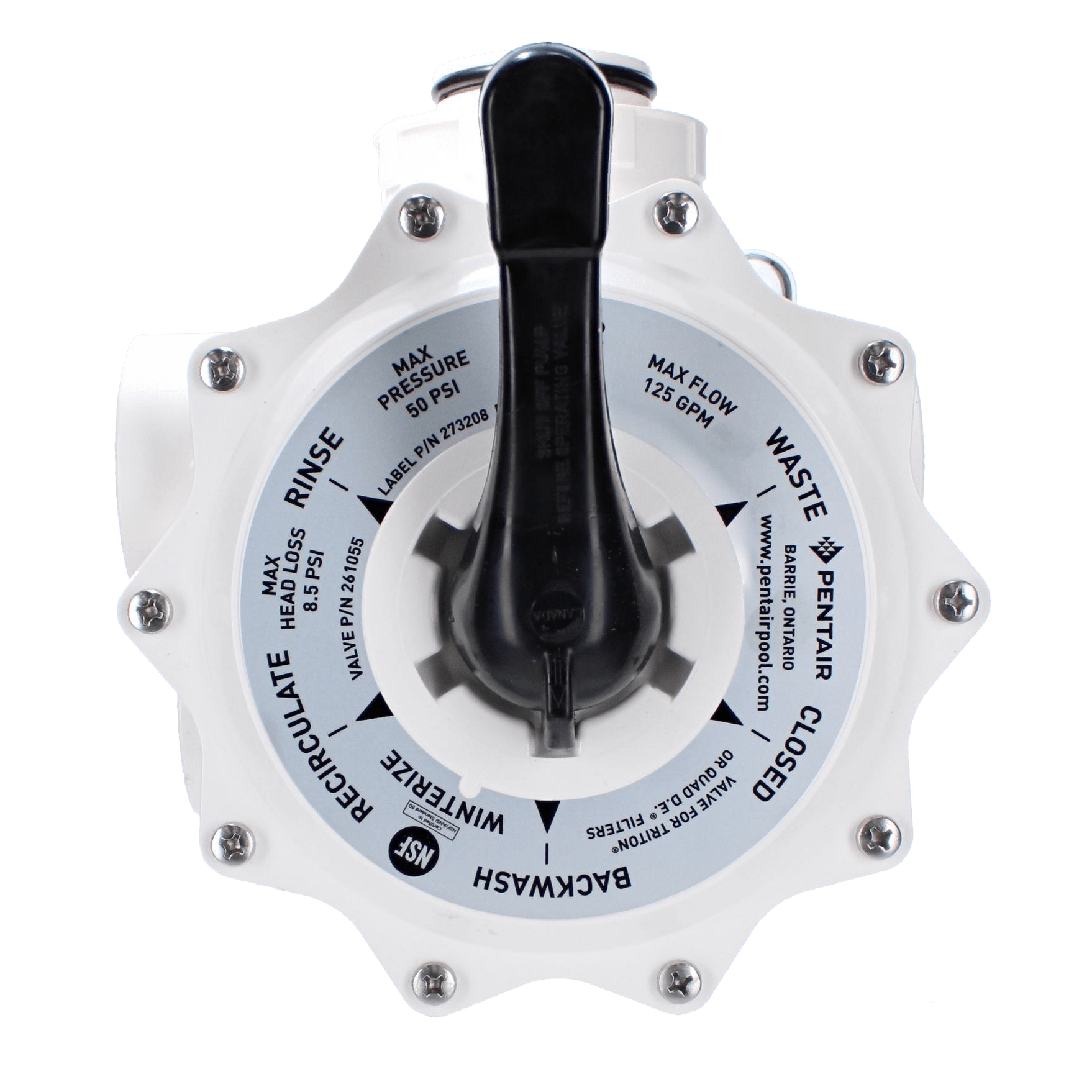 Pentair Sand Multiport Valve 2" Side Mount  | 261055