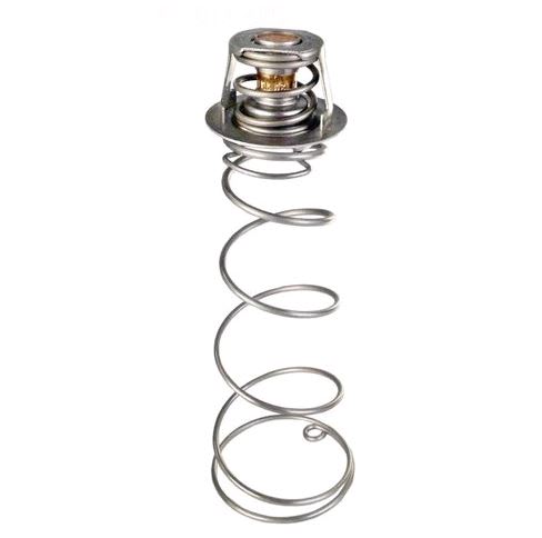 Pentair Kit Thermal Regulator | 460924