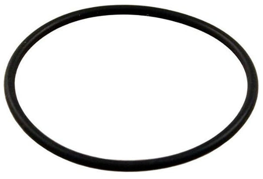 Pentair 51013500 O-ring | 51013500