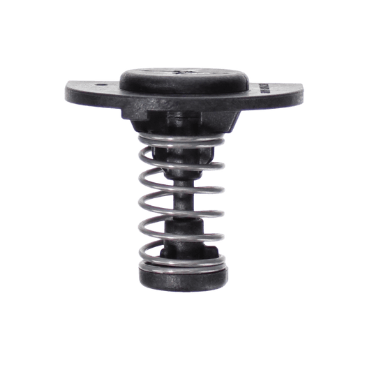 Pentair Manifold BypaSS Valve Pkg | 77707-0001