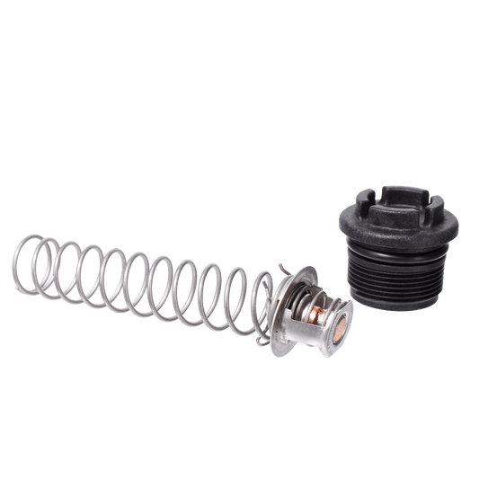 Pentair Thermal Regulator Package | 77707-0010