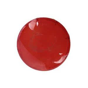 Pentair Cvr Spa Lens Red | 79108900