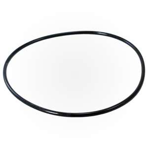 Pentair Oring 2-447 Buna N 50 | 87300400Z