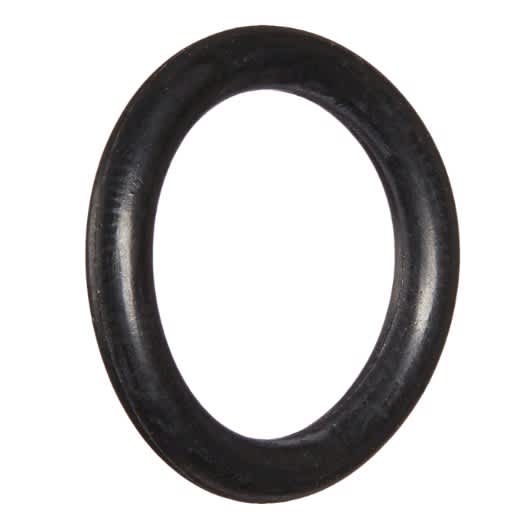 Pentair Oring 568-113 Kit Bag | JV18