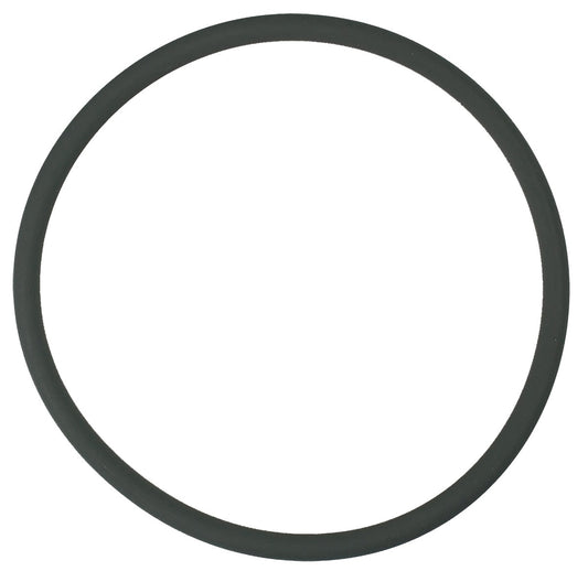 Pentair Oring -343 Viton 3"Cap | R172009Z