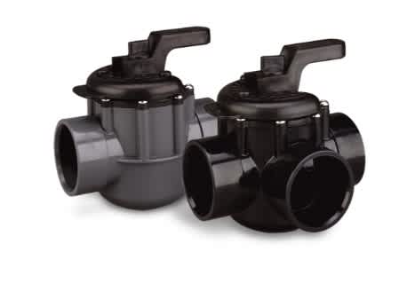 Pentair Valve Check Old Style | R172020