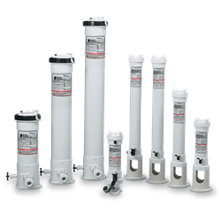 Pentair Extension Chlor. 10 In | R172087