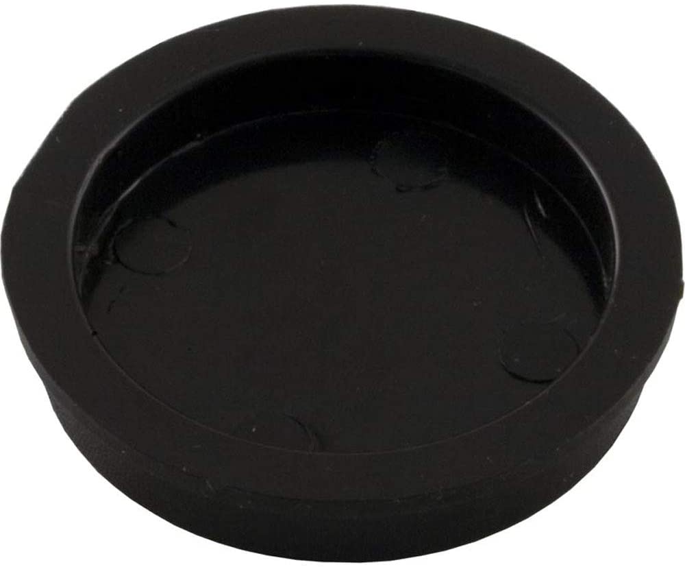 Pentair Plug Black | R172225X