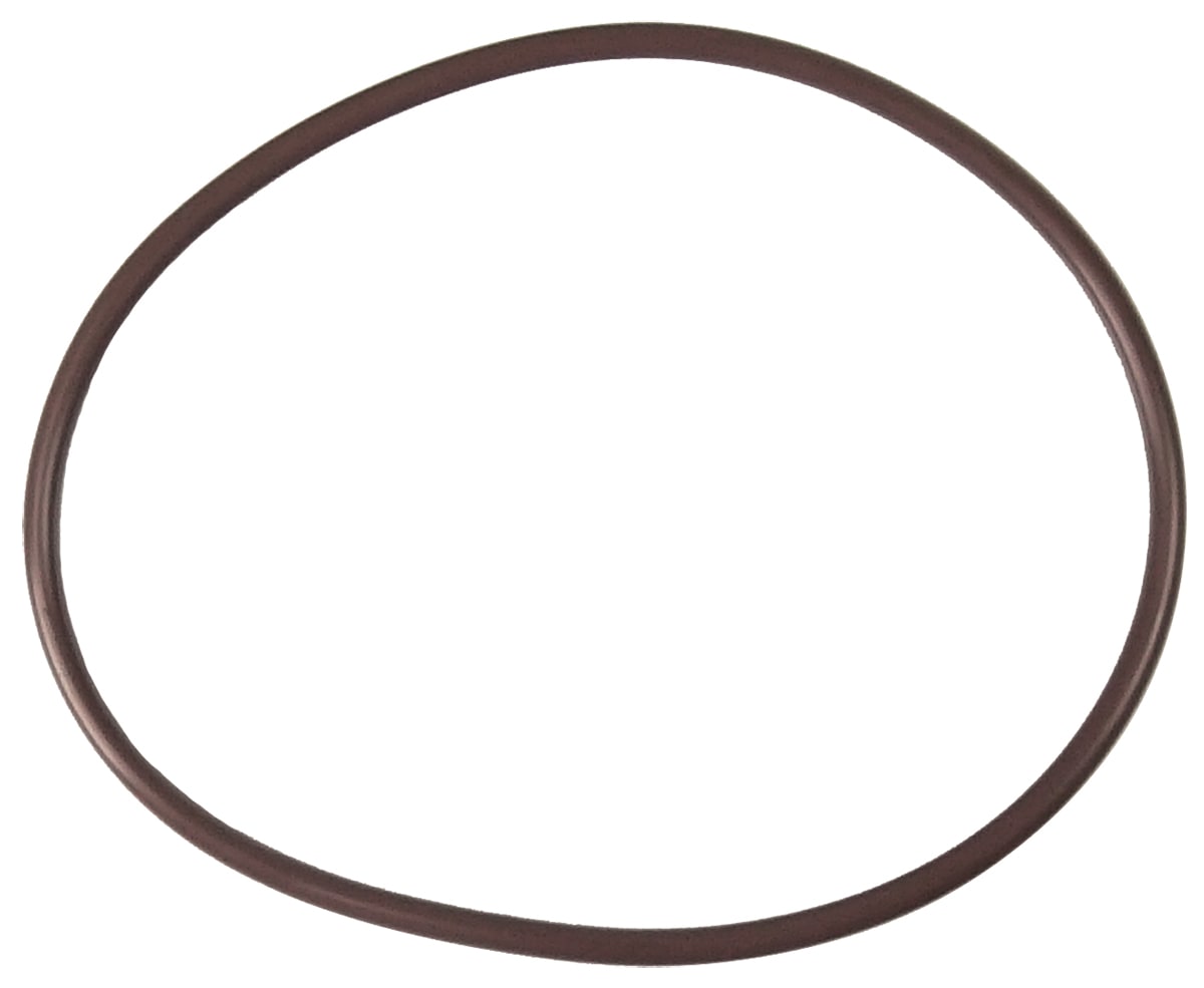 Pentair R172240 O-Ring | R172240