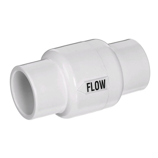 Pentair Valve Check 1 1/2-2" 2 | R172288