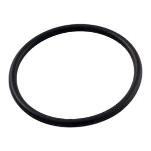 Pentair R172319 O-Ring | R172319