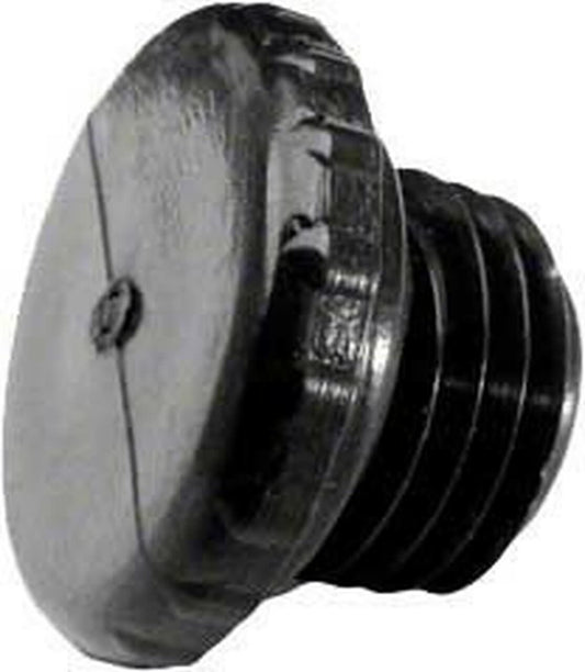 Pentair Plug AcceSS 1/4"Mpt | R172392