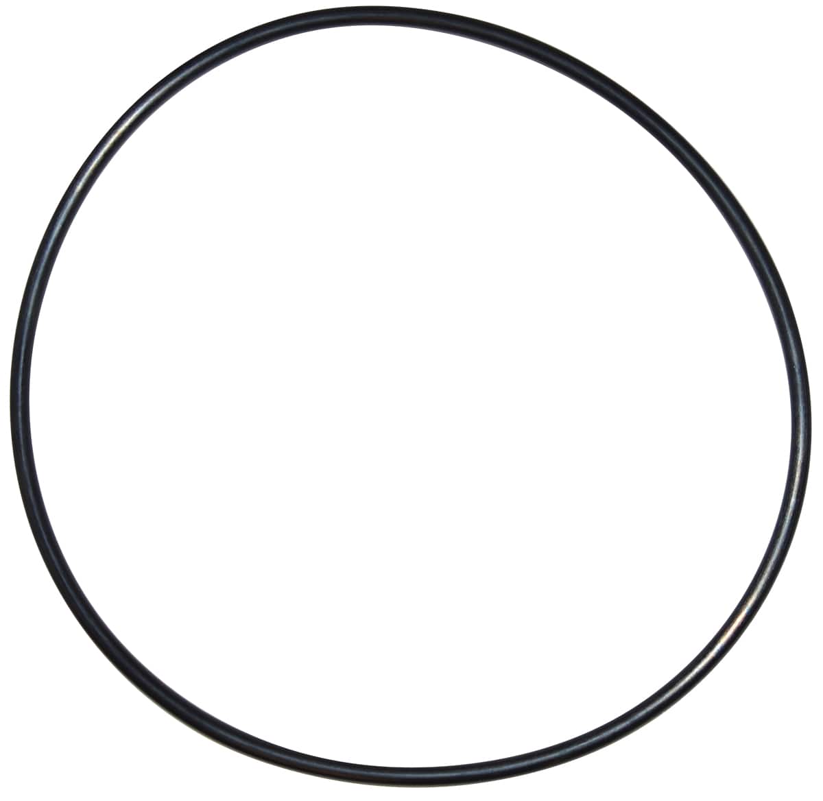 Pentair O-Ring | U9-228AZ