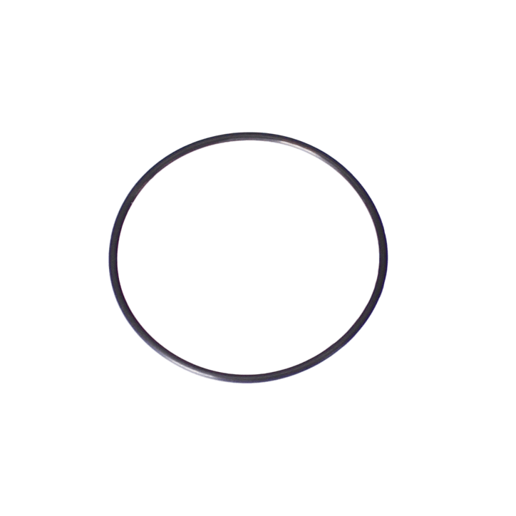 Zodiac G58 Back Up Valve O-Ring Replacement Kit