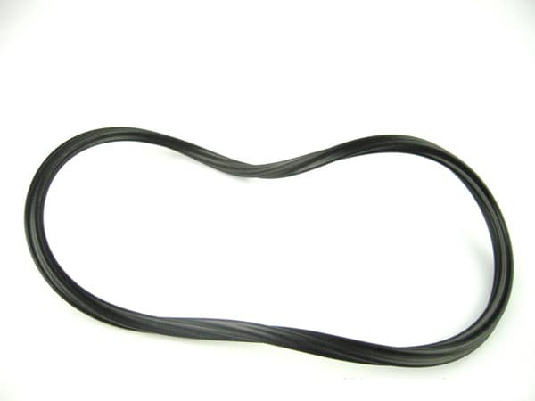 Paramount Oring F/Canister | 005152012000