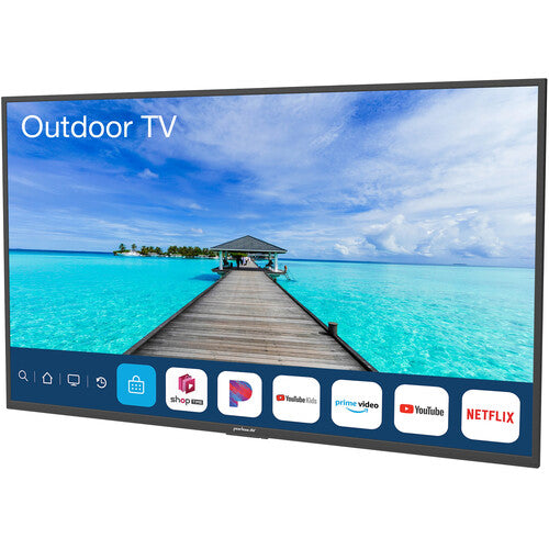 Peerless-AV  Neptune Partial Sun Series 4K HDR Outdoor Smart TV and Outdoor Tilting Wall Mount | NT553