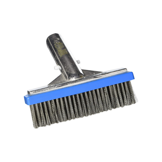 Pentair R111616 6-Inch 604A Back Aluminum Algae Swimming Pool Brush with Stainless Steel Bristle