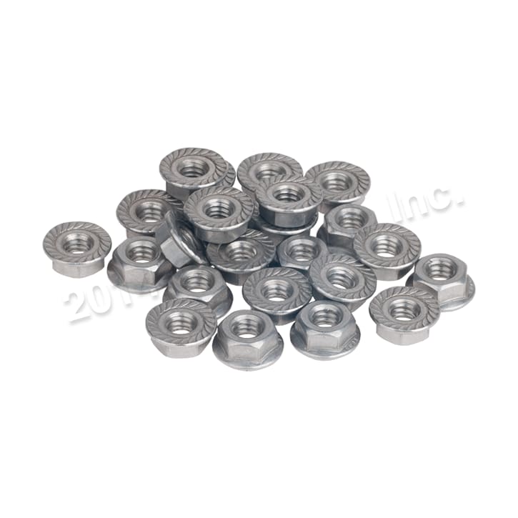 Raypak Flange Nut 1/4-20-Kit | 008259F