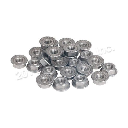 Raypak Flange Nut 1/4-20-Kit | 008259F