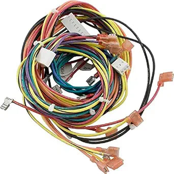 Raypak 009490F Wiring Harness