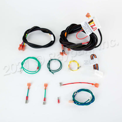 Raypak Wire/Harness Iid185B-405B | 009490F
