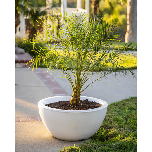 The Outdoor Plus Luna Planter Bowl, 30-inch, round, GFRC concrete, in ash