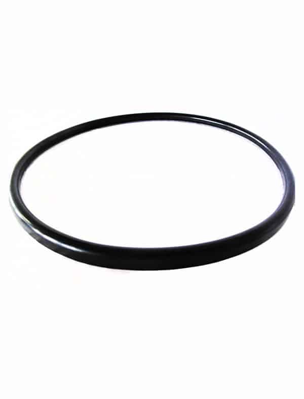Gasket For Quantum Filter | V38-221