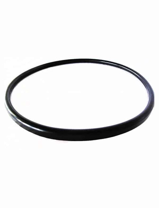 Gasket For Quantum Filter | V38-221