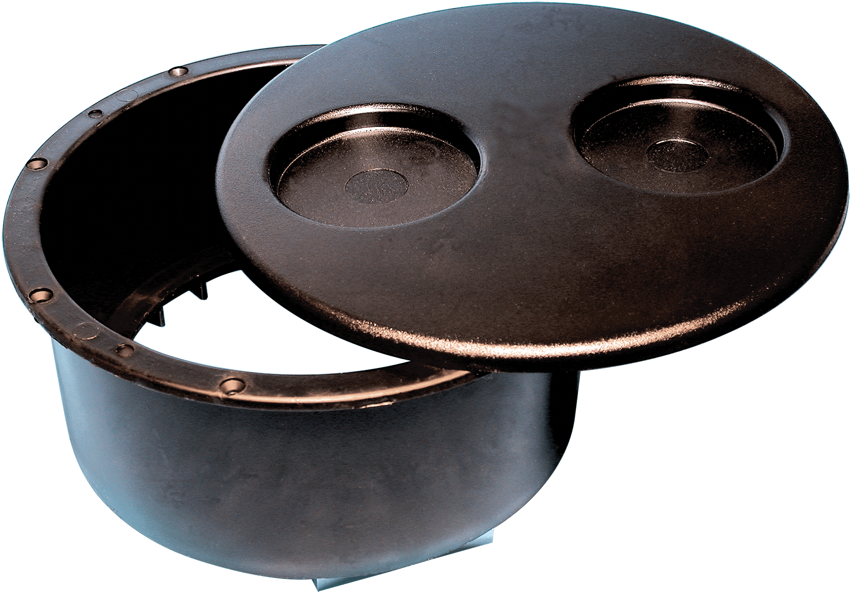 Waterway Filter Niche, W/2 Cup Lid and Screws, Black 500-1021