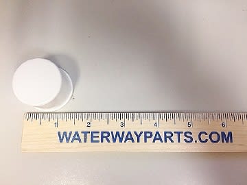 Waterway Slip Plug 1in. Spigot 715-2000