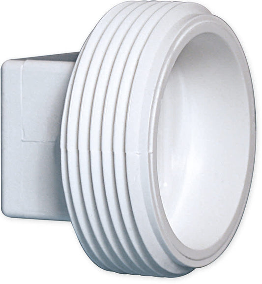 Waterway Plastics Plug, 2" MPT