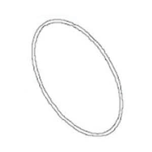 Waterway Plastics O-Ring, #261- Volute For | 805-0261